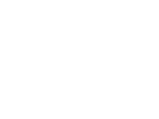 Wetzo logo
